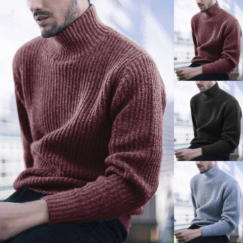 Top Pullover High Neck Long Sleeve Knitted Sweater